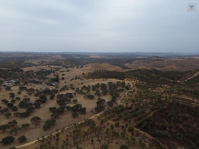 Finca/Casa di Campagna in vendita in Zalamea la Real - 1.000.000 € (Rif: 10100751)