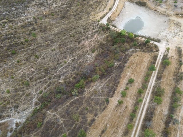 Finca/Casa di Campagna in vendita in Zalamea la Real - 1.000.000 € (Rif: 10100751)