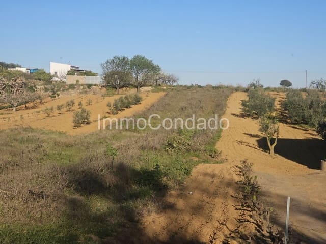 Finca/Casa di Campagna in vendita in Bollullos Par del Condado - 22.000 € (Rif: 7499355)