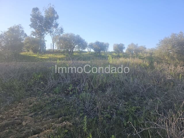 Finca/Casa di Campagna in vendita in Bollullos Par del Condado - 22.000 € (Rif: 7499355)