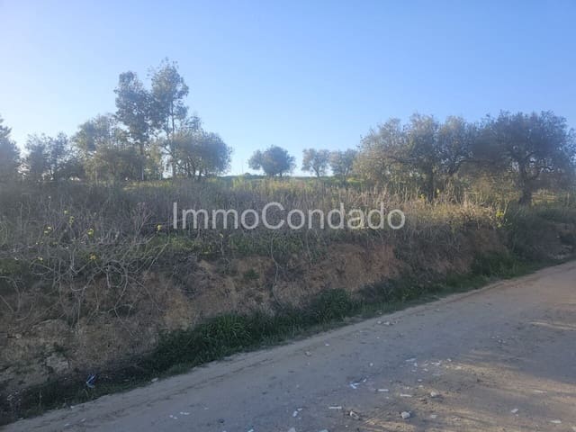 Finca/Casa di Campagna in vendita in Bollullos Par del Condado - 22.000 € (Rif: 7499355)