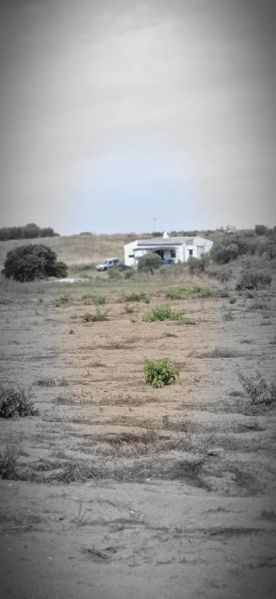 1 soveværelse Finca/Landehus til salg i Almonte - € 79.000 (Ref: 8757180)