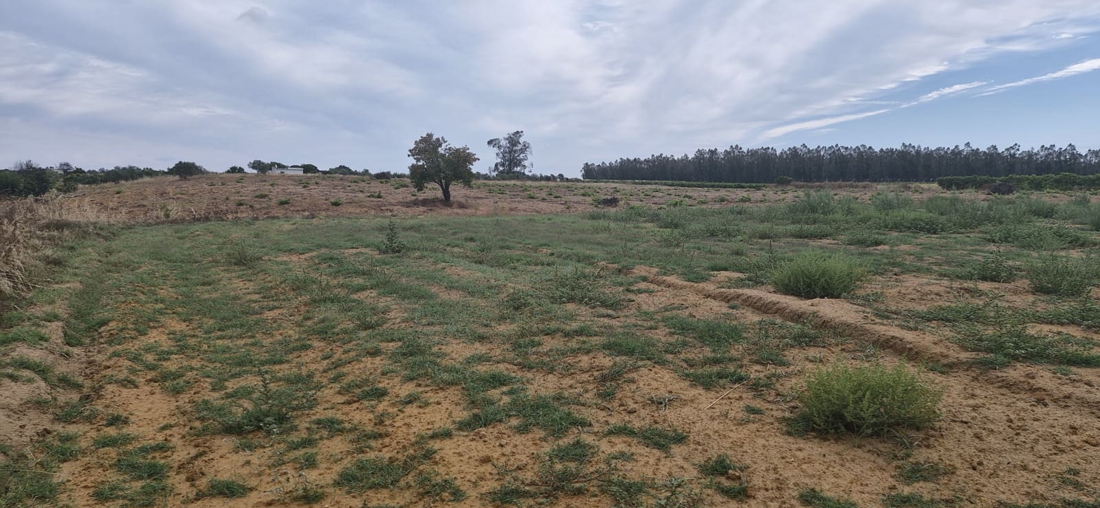 1 soveværelse Finca/Landehus til salg i Almonte - € 79.000 (Ref: 8757180)