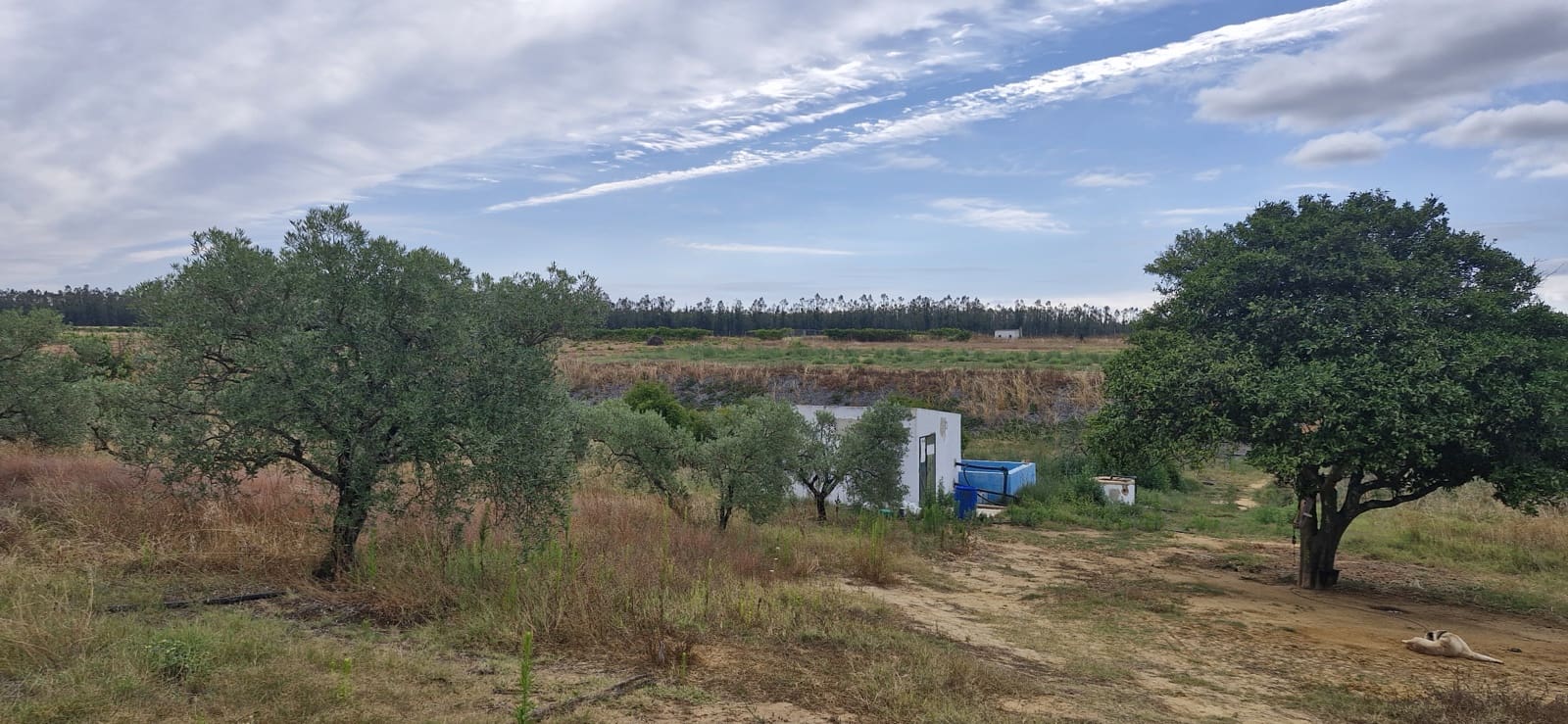 1 soveværelse Finca/Landehus til salg i Almonte - € 79.000 (Ref: 8757180)