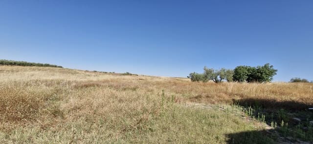 1 bedroom Finca/Country House for sale in Almonte - € 79,000 (Ref: 8757180)