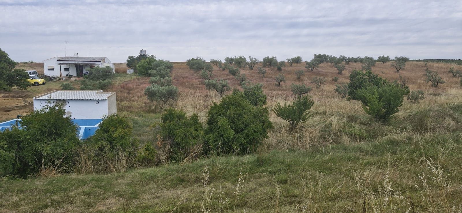 1 soveværelse Finca/Landehus til salg i Almonte - € 79.000 (Ref: 8757180)