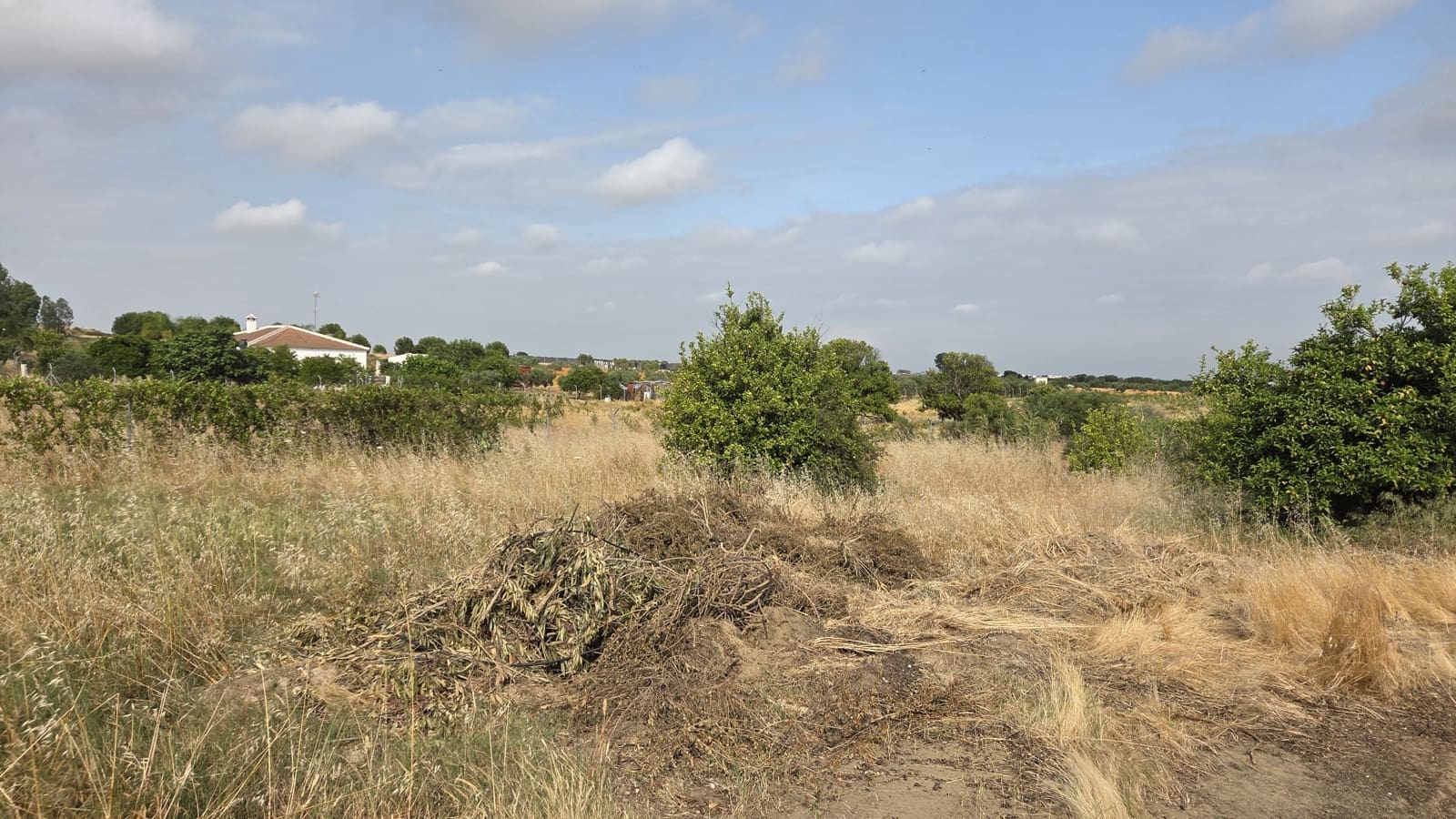 3 soveværelse Finca/Landehus til salg i Bollullos Par del Condado med swimmingpool garage - € 120.000 (Ref: 8941597)