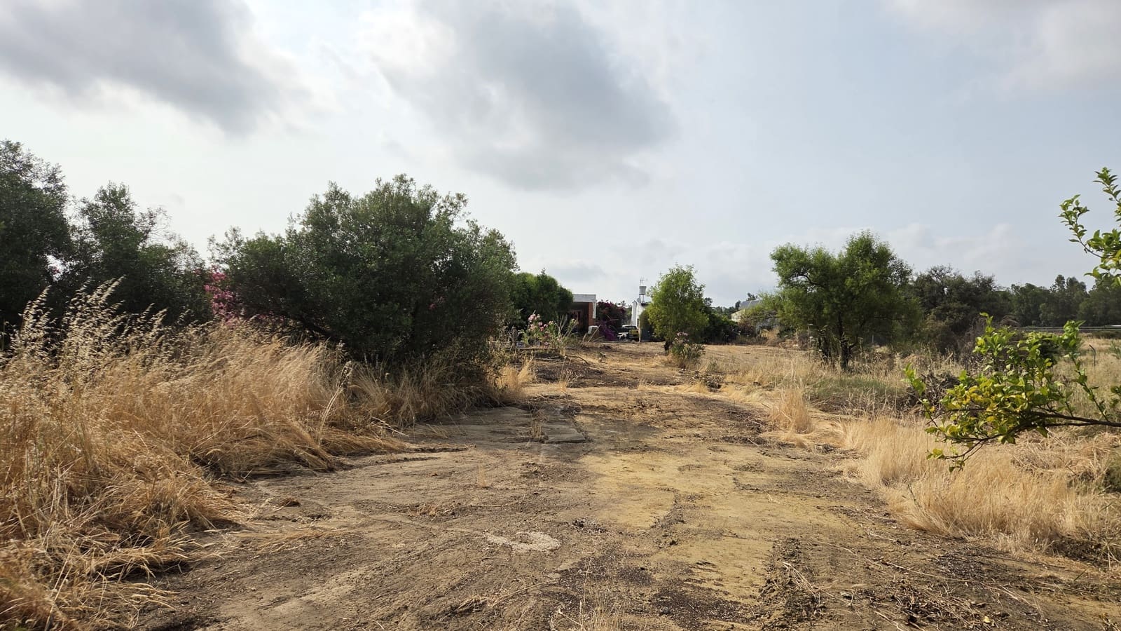 3 soveværelse Finca/Landehus til salg i Bollullos Par del Condado med swimmingpool garage - € 120.000 (Ref: 8941597)