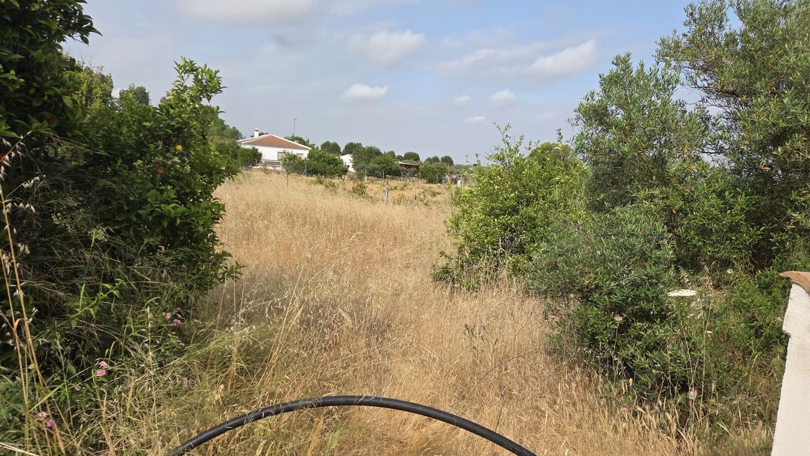 3 soveværelse Finca/Landehus til salg i Bollullos Par del Condado med swimmingpool garage - € 120.000 (Ref: 8941597)