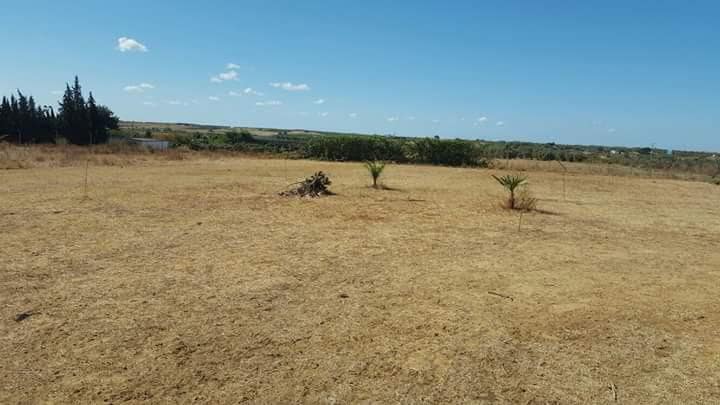 1 soveværelse Finca/Landehus til salg i Bollullos Par del Condado med garage - € 65.000 (Ref: 8948134)