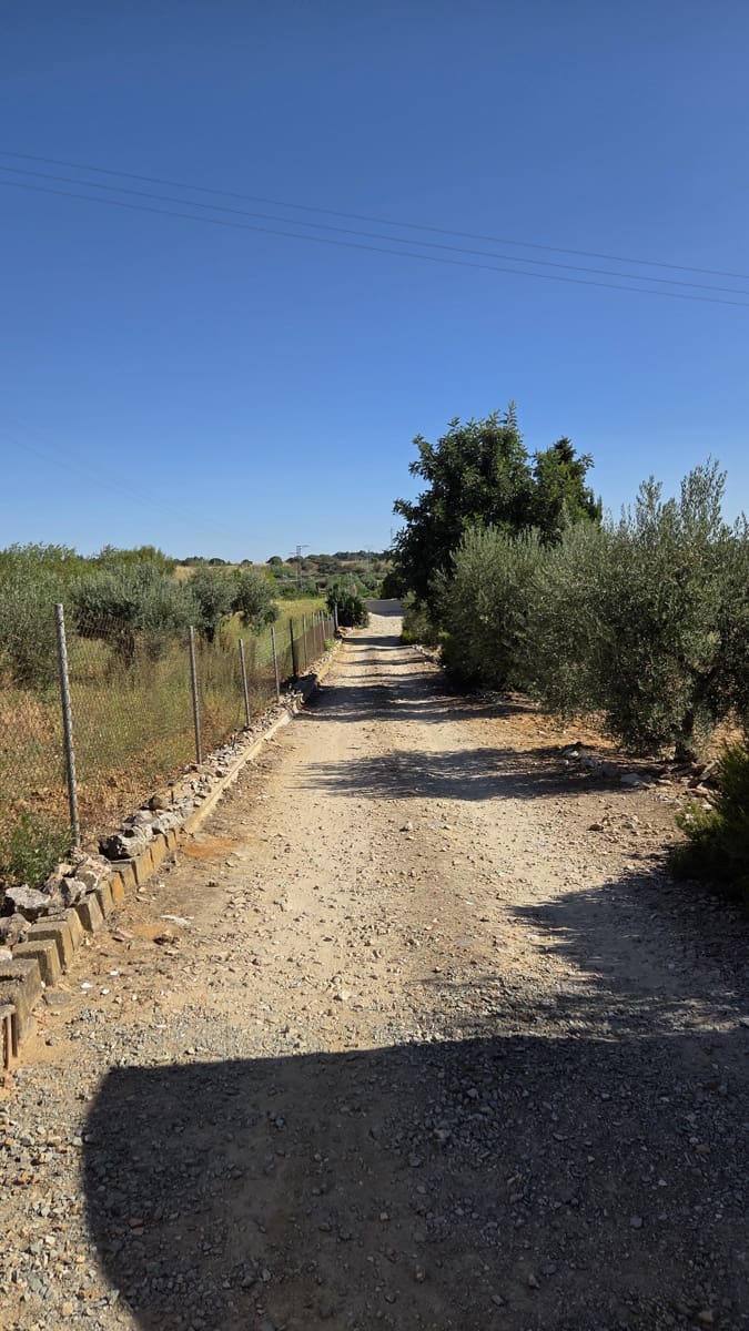 4 bedroom Finca/Country House for sale in Bollullos Par del Condado with pool garage - € 215,000 (Ref: 9129991)