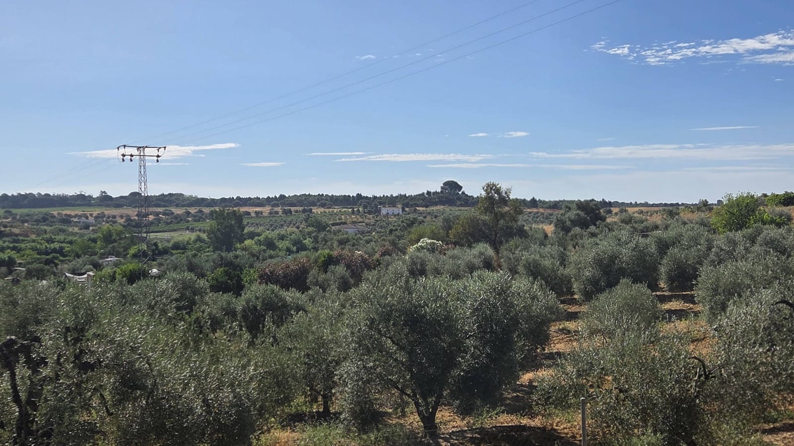 4 bedroom Finca/Country House for sale in Bollullos Par del Condado with pool garage - € 215,000 (Ref: 9129991)