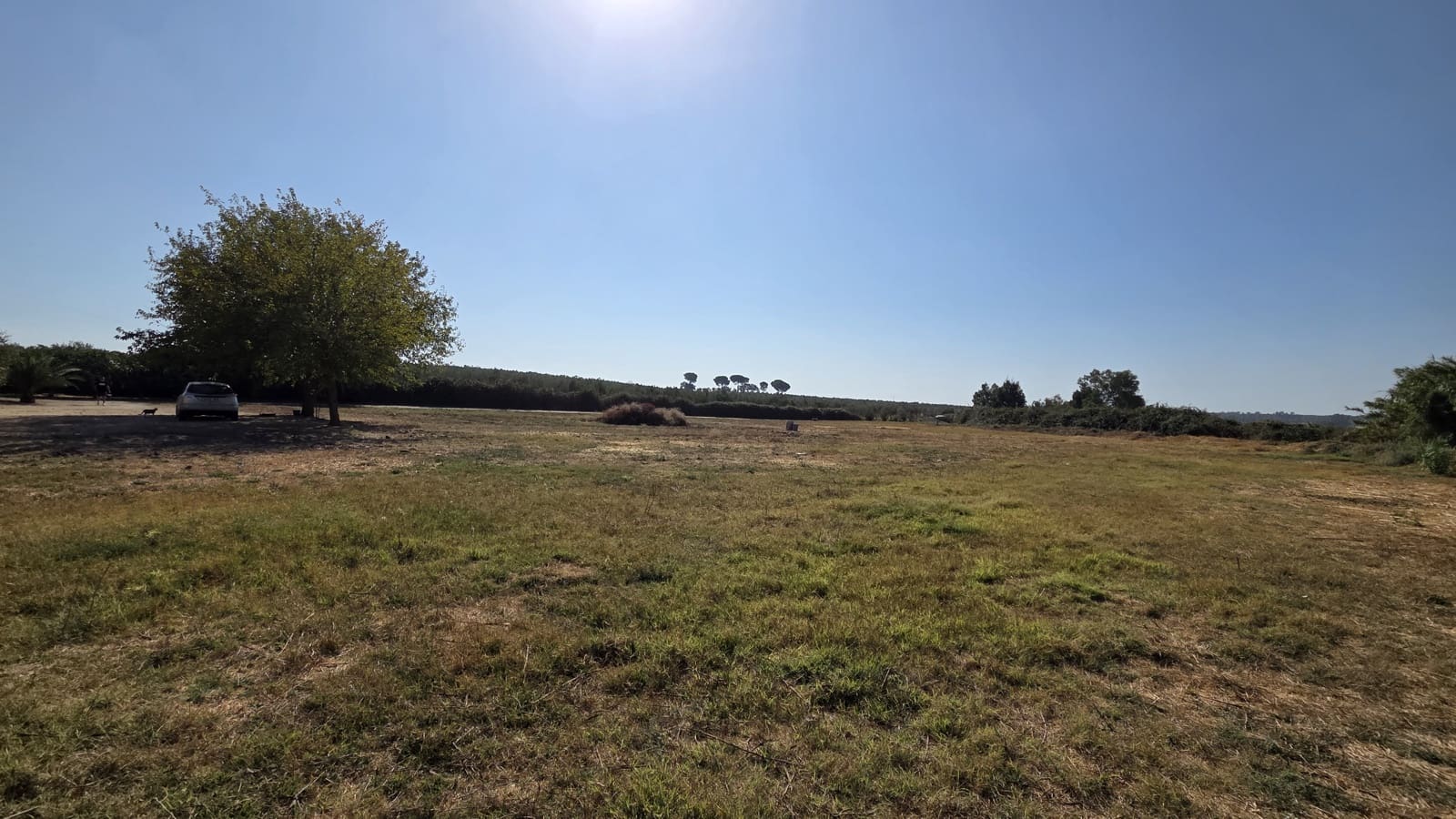 2 slaapkamer Finca/Landhuis te koop in Almonte - € 106.000 (Ref: 9325727)