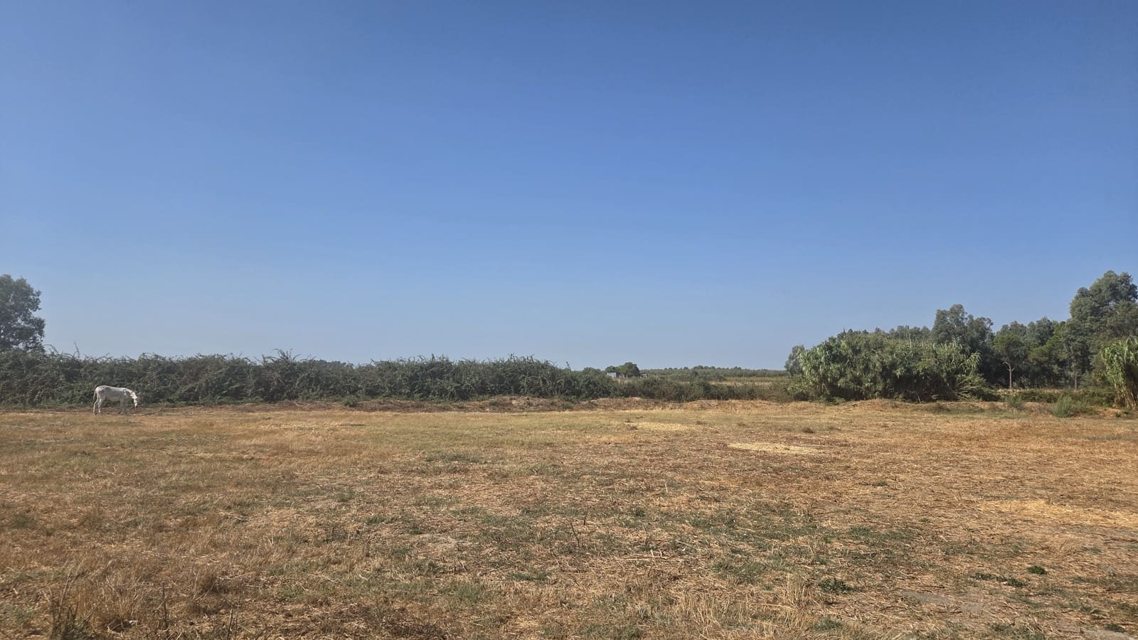 2 slaapkamer Finca/Landhuis te koop in Almonte - € 106.000 (Ref: 9325727)