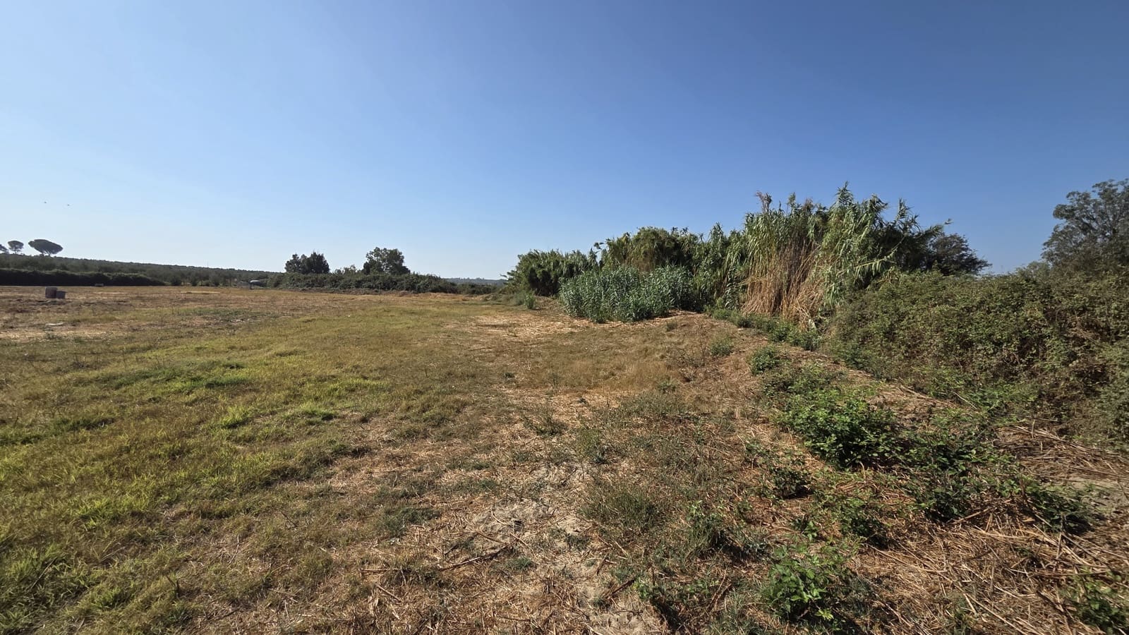 2 slaapkamer Finca/Landhuis te koop in Almonte - € 106.000 (Ref: 9325727)