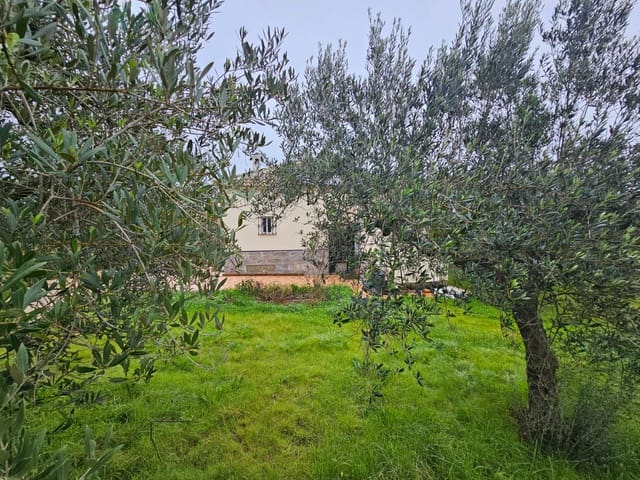 2 bedroom Finca/Country House for sale in La Palma del Condado - € 130,000 (Ref: 9332883)