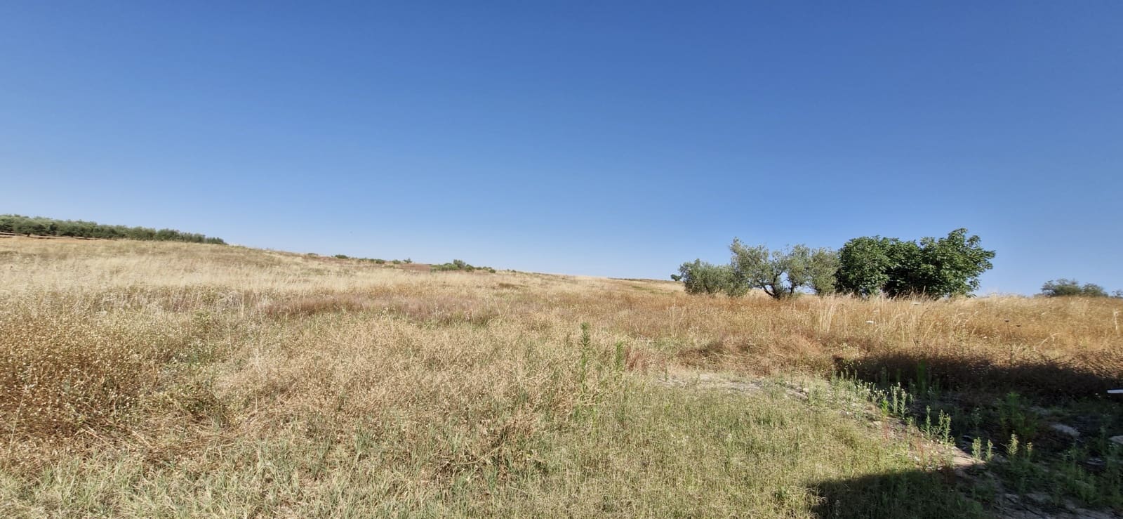 2 sypialnia Finka/Dom wiejski na sprzedaż w Almonte - 85 000 € (Ref: 9627892)