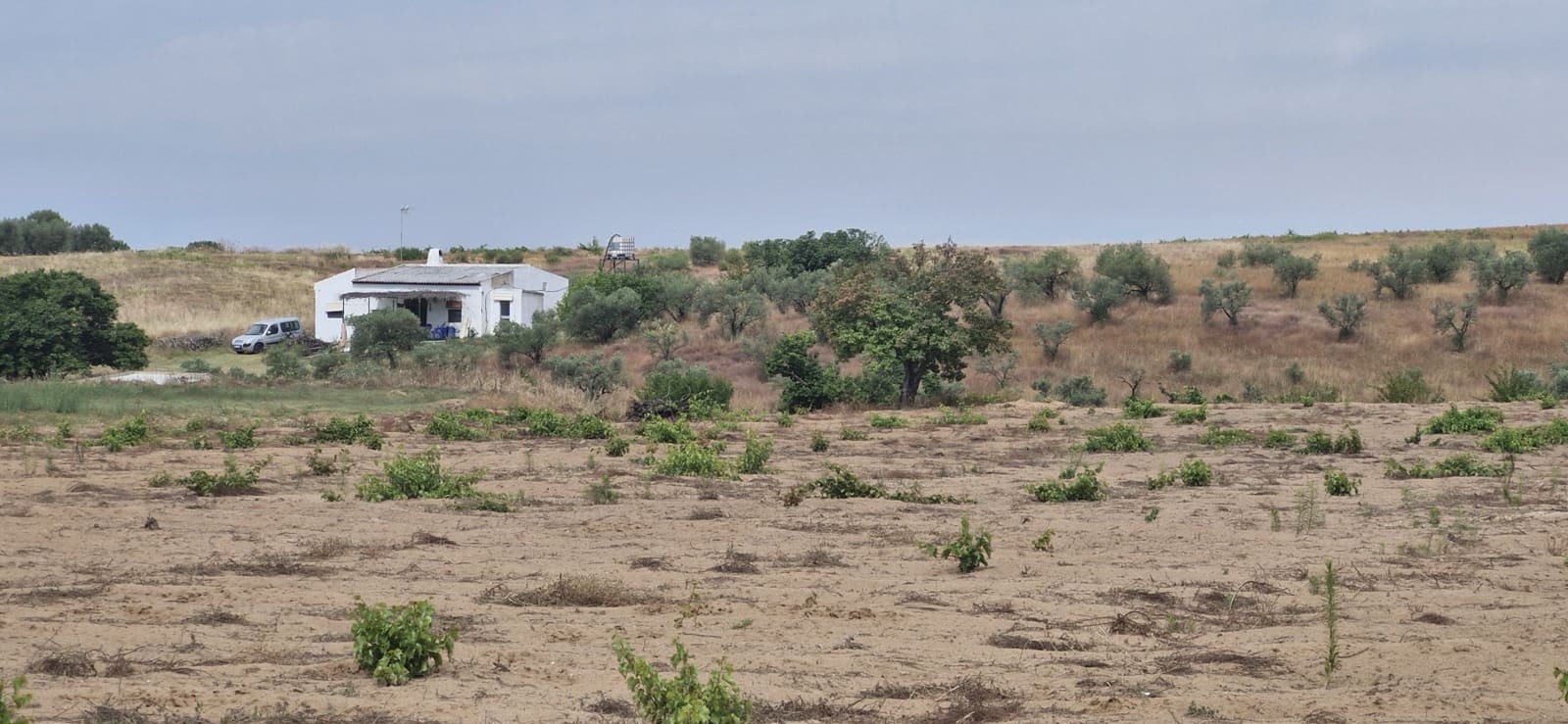 2 sypialnia Finka/Dom wiejski na sprzedaż w Almonte - 85 000 € (Ref: 9627892)