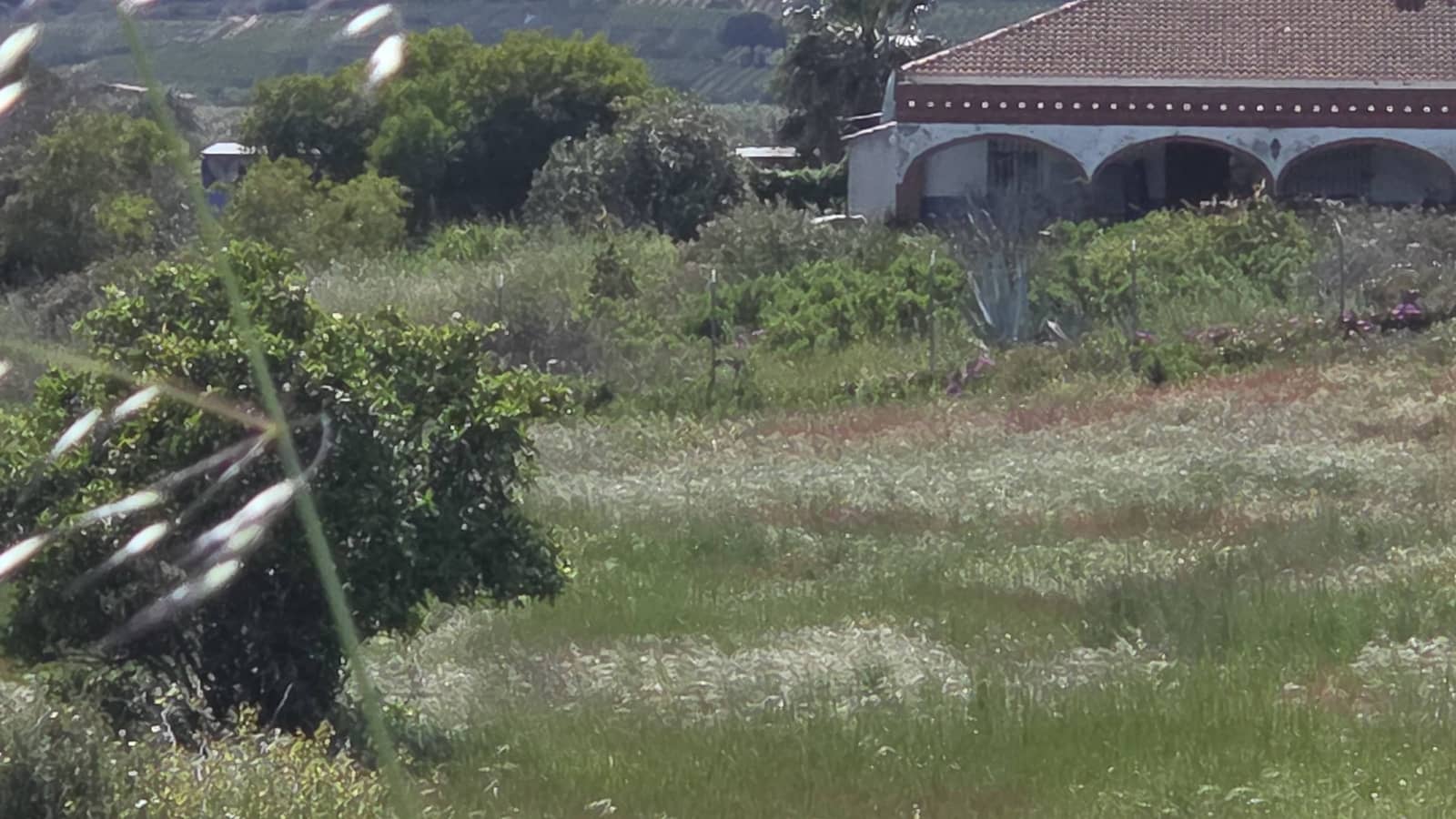 3 slaapkamer Finca/Landhuis te koop in Bollullos Par del Condado - € 120.000 (Ref: 9628057)