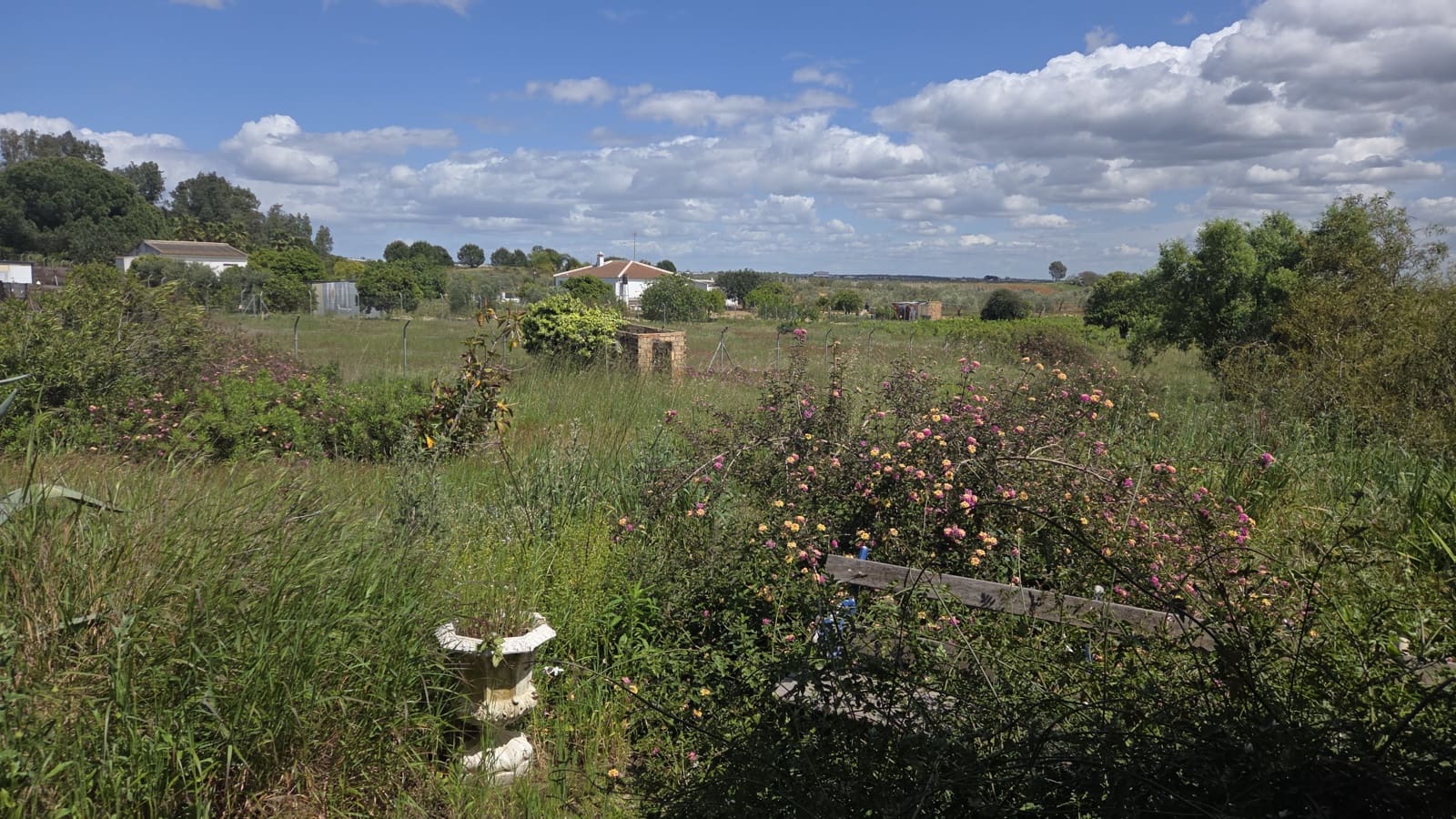 3 slaapkamer Finca/Landhuis te koop in Bollullos Par del Condado - € 120.000 (Ref: 9628057)