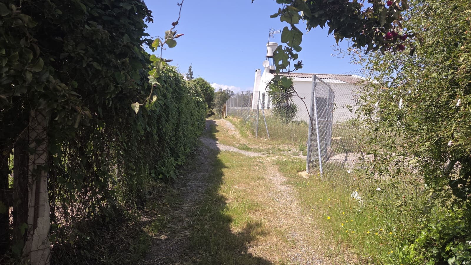 3 slaapkamer Finca/Landhuis te koop in Bollullos Par del Condado - € 120.000 (Ref: 9628057)