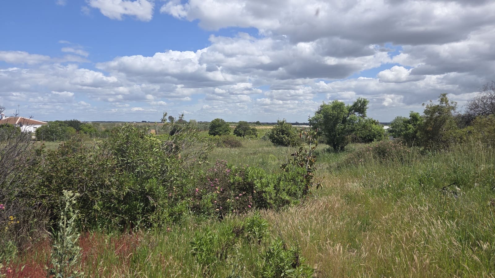 3 slaapkamer Finca/Landhuis te koop in Bollullos Par del Condado - € 120.000 (Ref: 9628057)