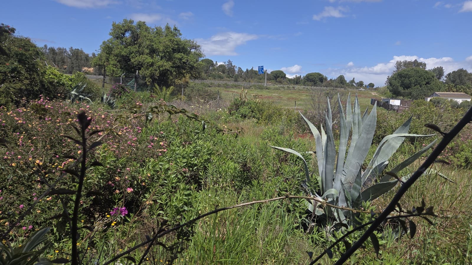 3 slaapkamer Finca/Landhuis te koop in Bollullos Par del Condado - € 120.000 (Ref: 9628057)