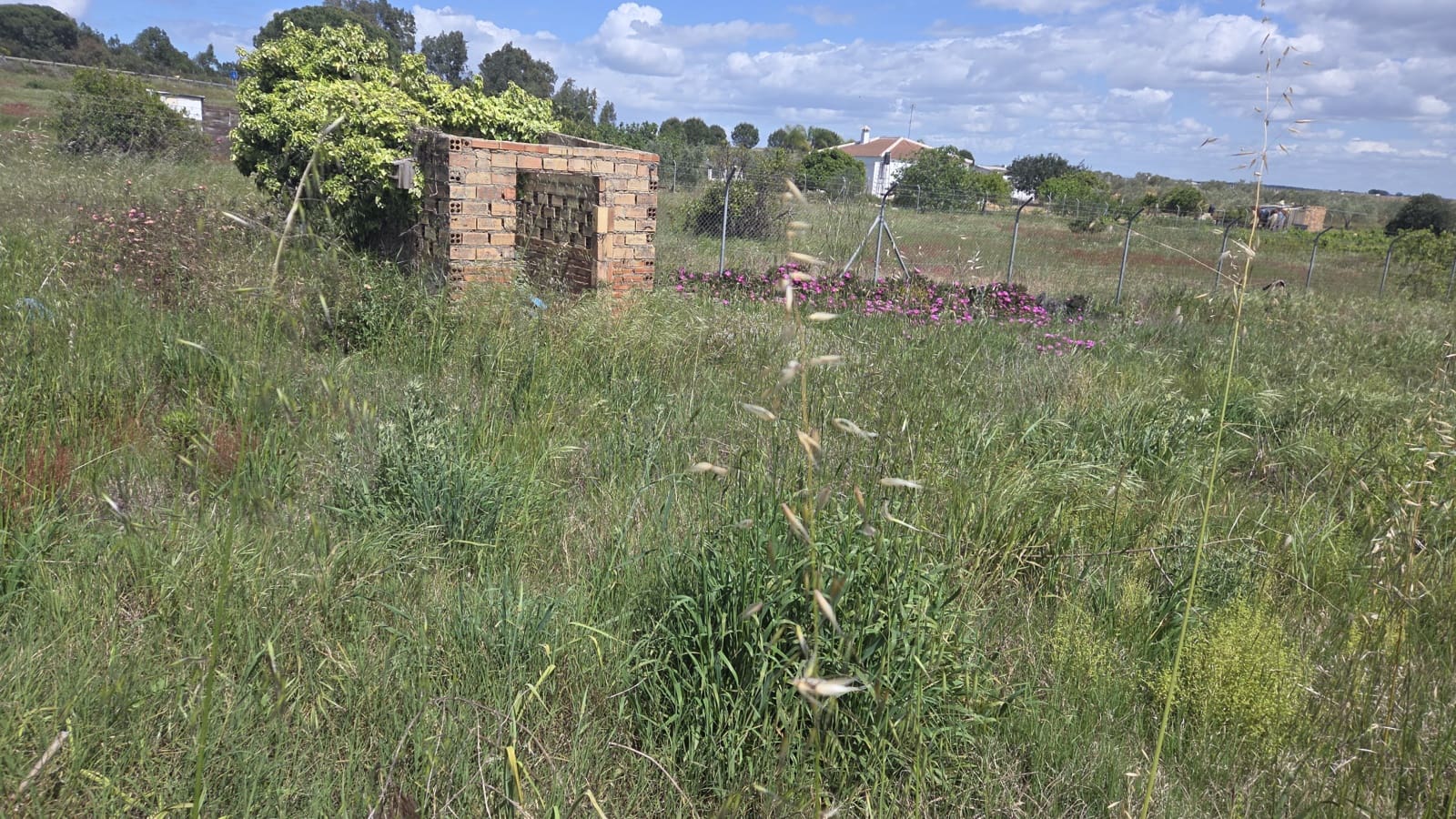 3 slaapkamer Finca/Landhuis te koop in Bollullos Par del Condado - € 120.000 (Ref: 9628057)