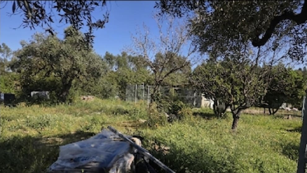 2 sovrum Finca/Hus på landet till salu i La Palma del Condado med pool - 198 000 € (Ref: 9728443)