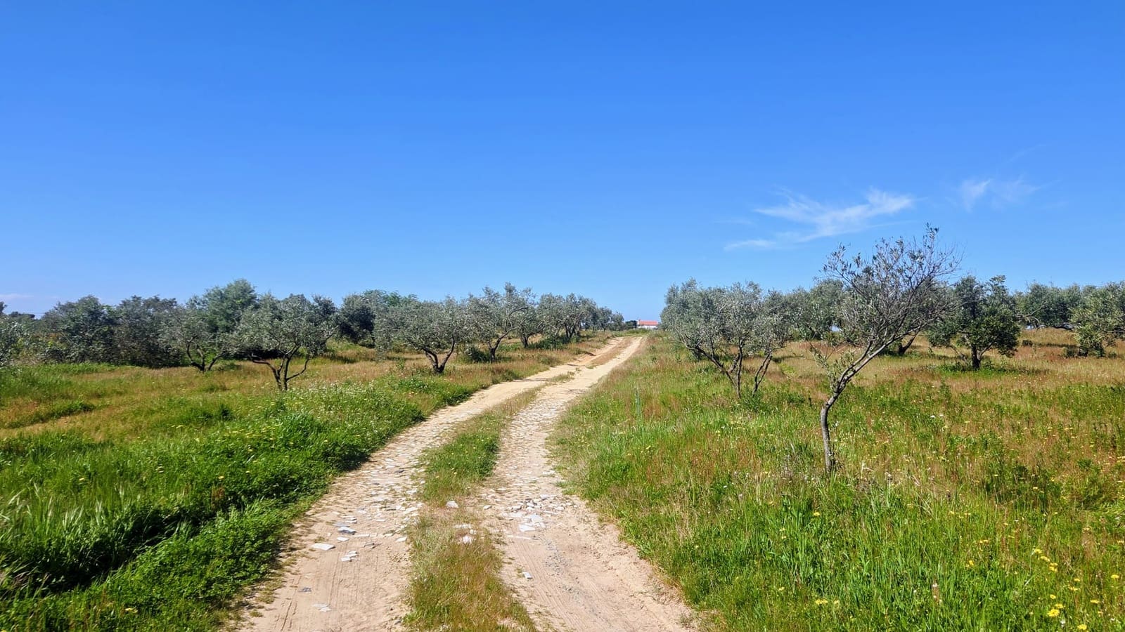 2 sovrum Finca/Hus på landet till salu i La Palma del Condado med pool - 198 000 € (Ref: 9728443)