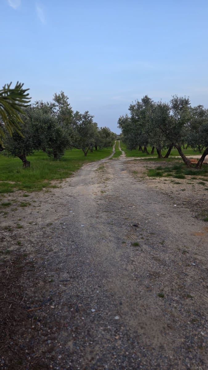 1 bedroom Finca/Country House for sale in La Palma del Condado - € 130,999 (Ref: 9729528)