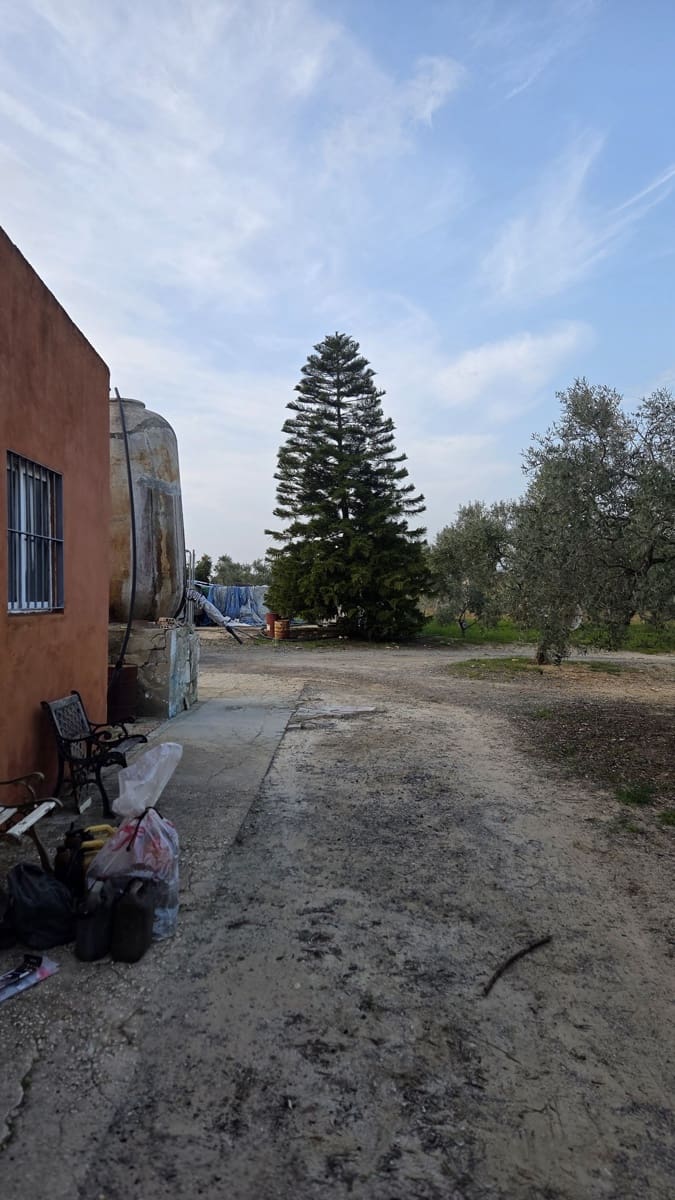 1 bedroom Finca/Country House for sale in La Palma del Condado - € 130,999 (Ref: 9729528)