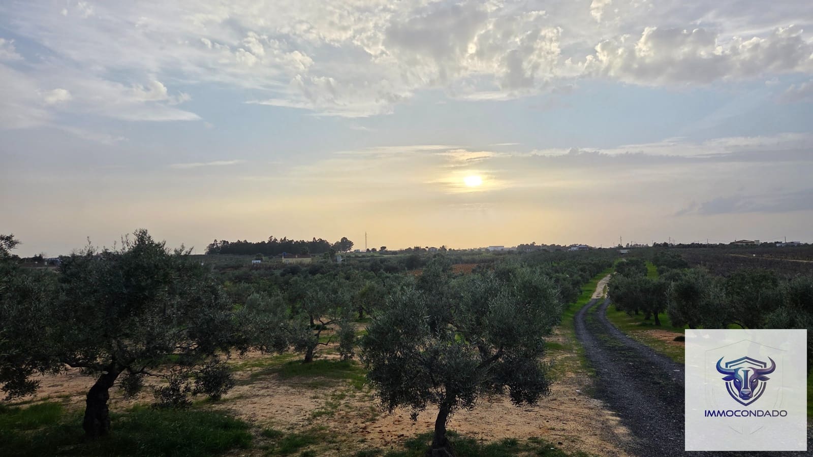 1 bedroom Finca/Country House for sale in La Palma del Condado - € 130,999 (Ref: 9729528)