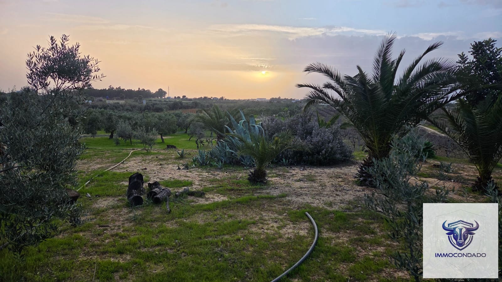 1 bedroom Finca/Country House for sale in La Palma del Condado - € 130,999 (Ref: 9729528)