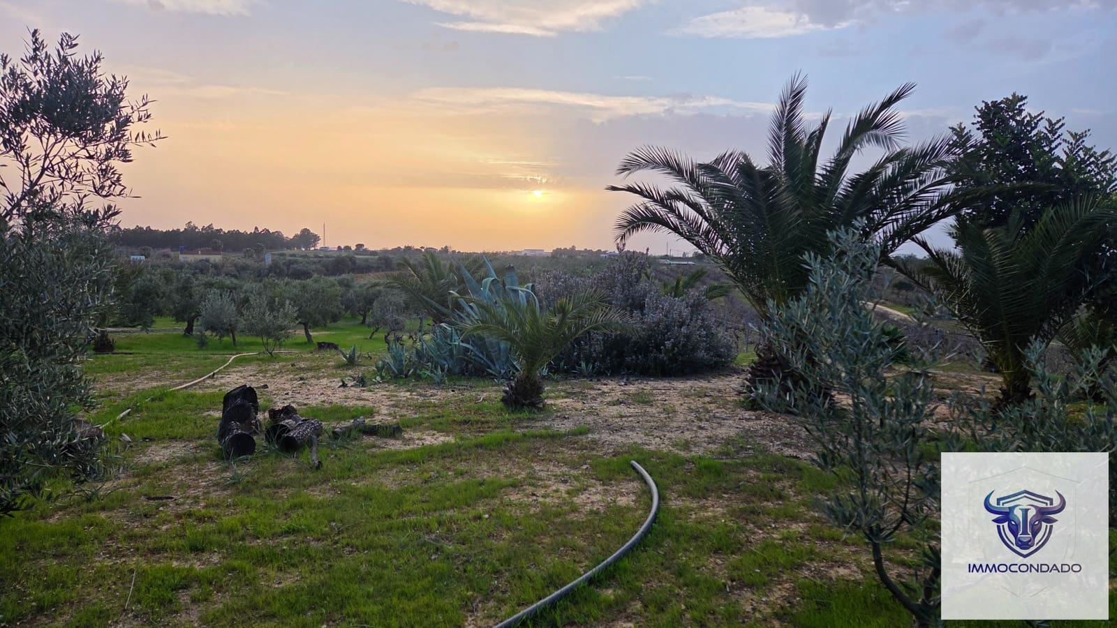 1 bedroom Finca/Country House for sale in La Palma del Condado - € 130,999 (Ref: 9729528)