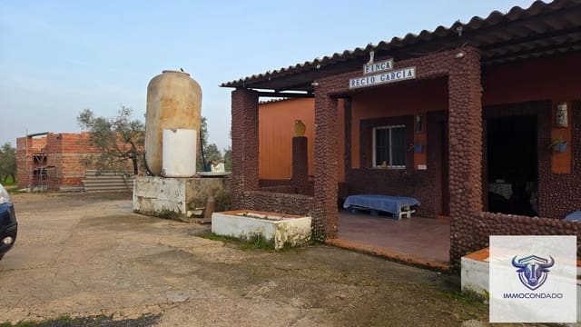 Finca/Casa Rural de 1 habitación en La Palma del Condado en venta - 130.999 € (Ref: 9729528)