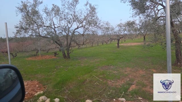 Finca/Casa Rural de 1 habitación en La Palma del Condado en venta - 130.999 € (Ref: 9729528)