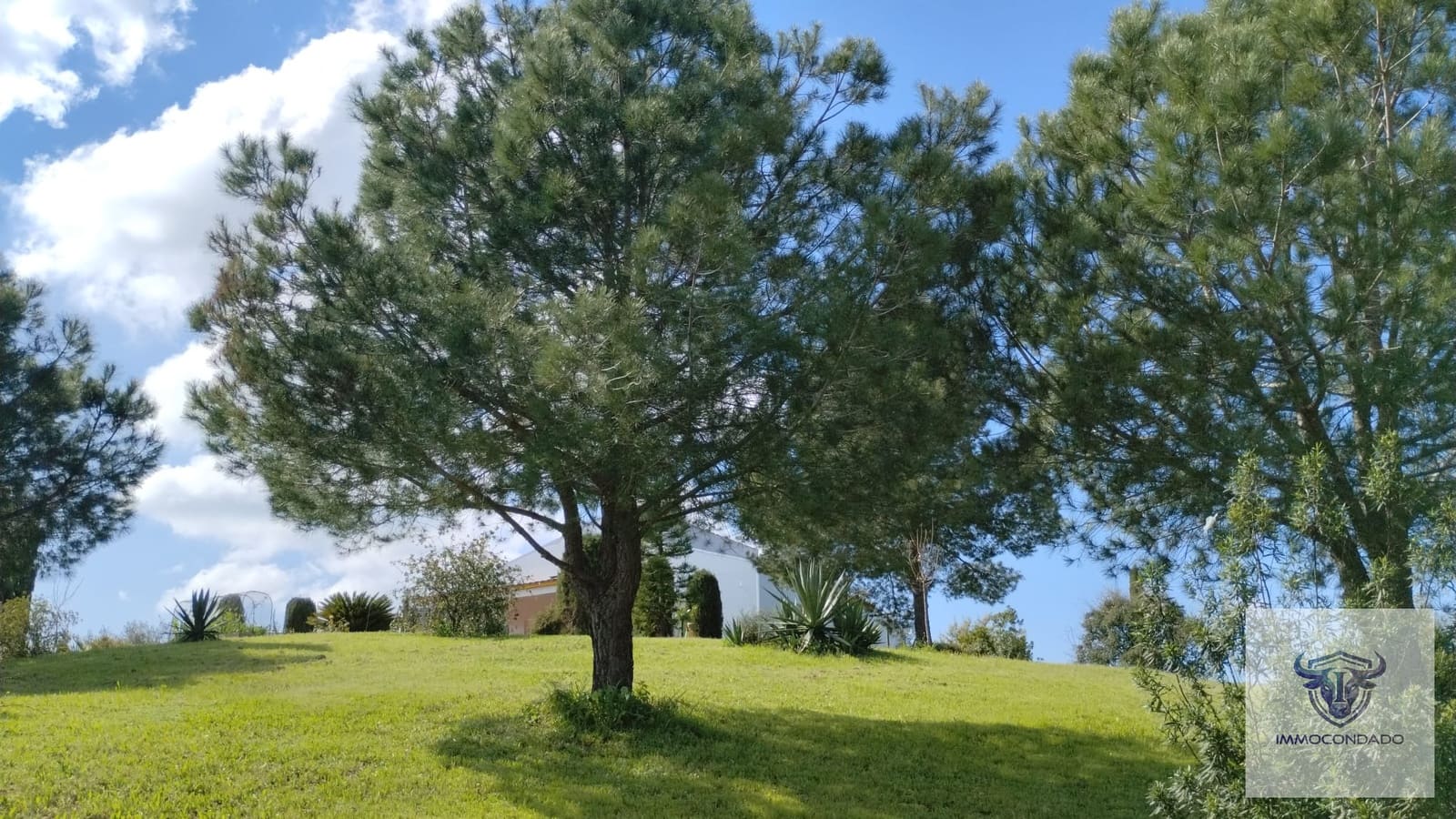 2 camera da letto Finca/Casa di Campagna in vendita in Trigueros - 242.000 € (Rif: 9764787)