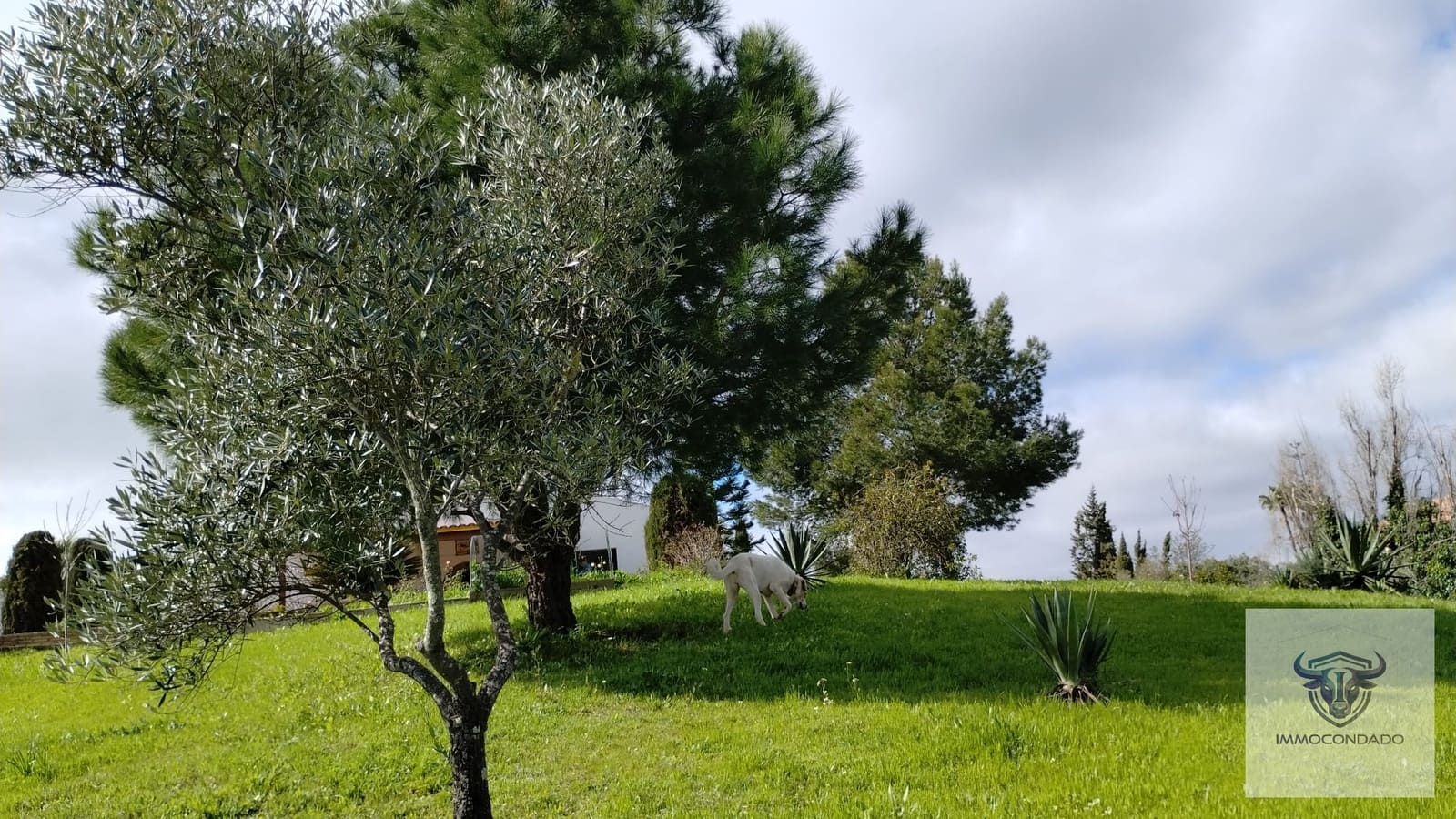 2 camera da letto Finca/Casa di Campagna in vendita in Trigueros - 242.000 € (Rif: 9764787)