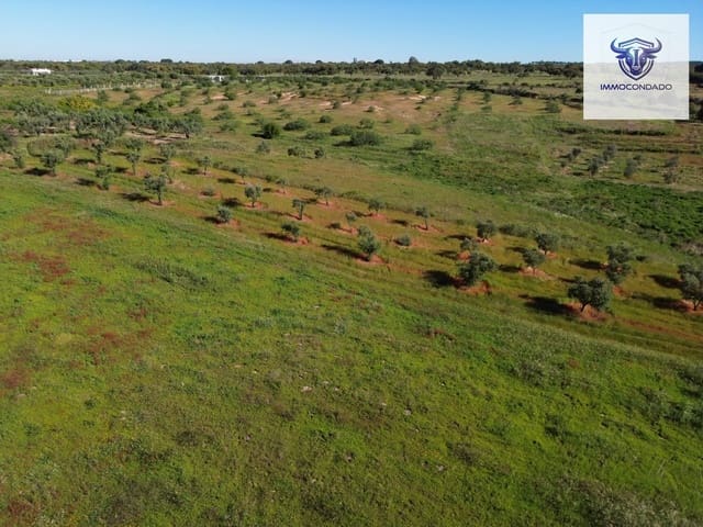 2 soveværelse Finca/Landehus til salg i Niebla - € 165.000 (Ref: 9793808)