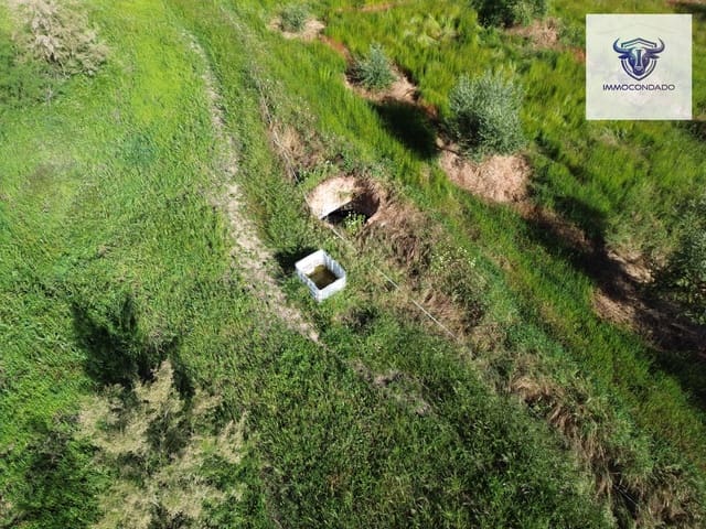 2 soveværelse Finca/Landehus til salg i Niebla - € 165.000 (Ref: 9793808)