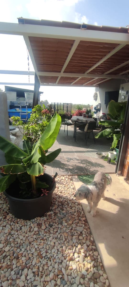 4 bedroom Finca/Country House for sale in Beas - € 195,000 (Ref: 9979949)