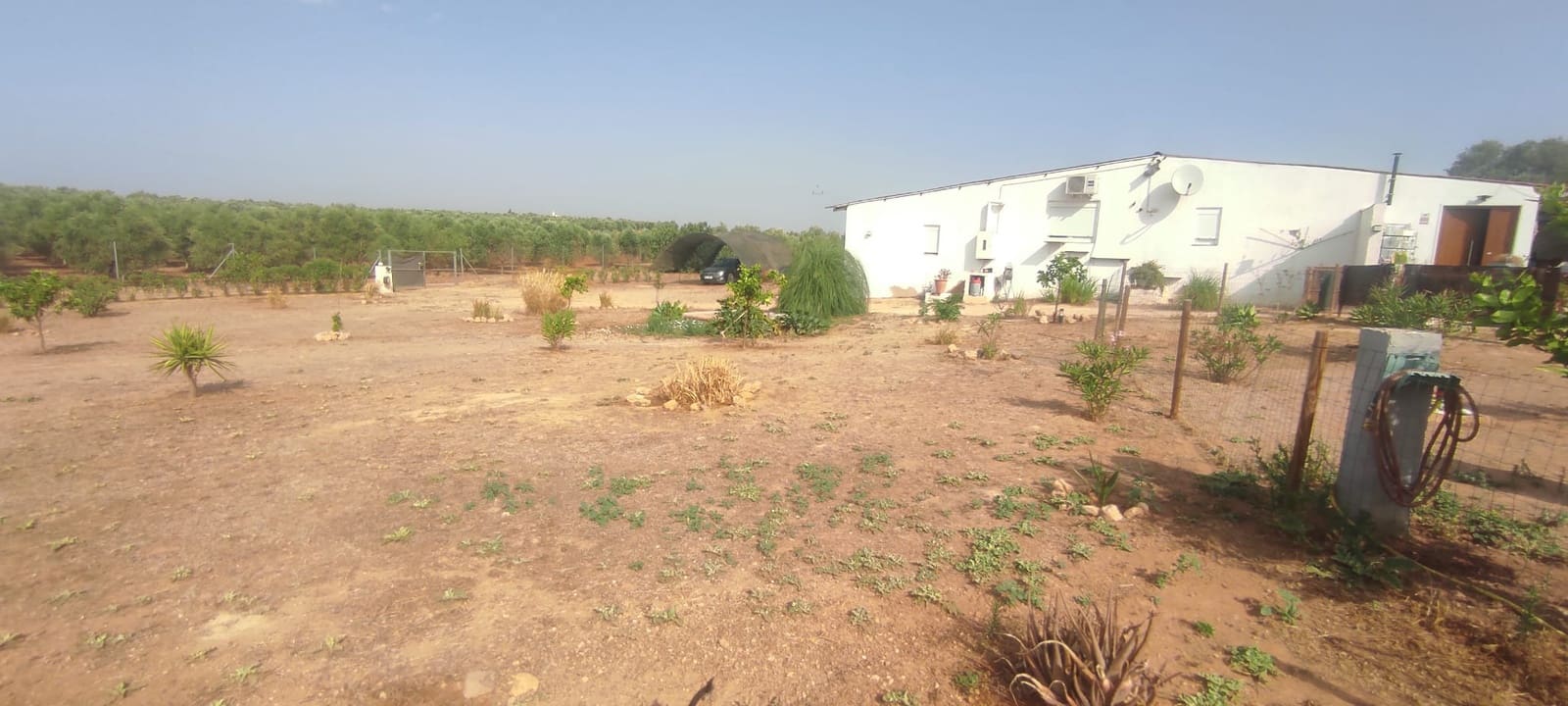 4 bedroom Finca/Country House for sale in Beas - € 195,000 (Ref: 9979949)