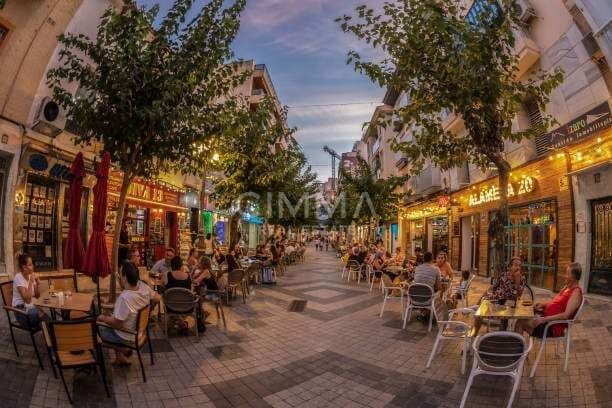Yritys myytävänä paikassa Rincón de Loix, Benidorm - 500 000 € (Ref: 10033672)