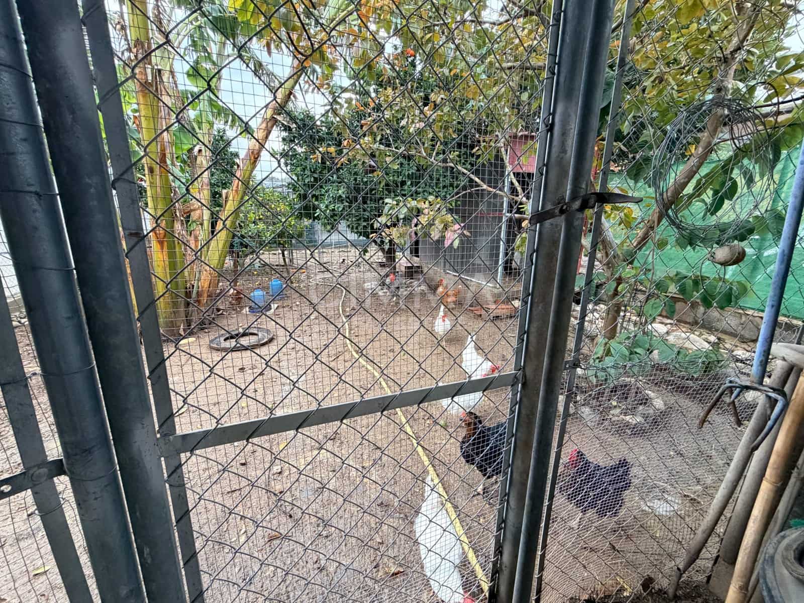 Finca/Casa Rural de 3 habitaciones en Callosa d'En Sarrià en venta con garaje - 199.000 € (Ref: 9524490)