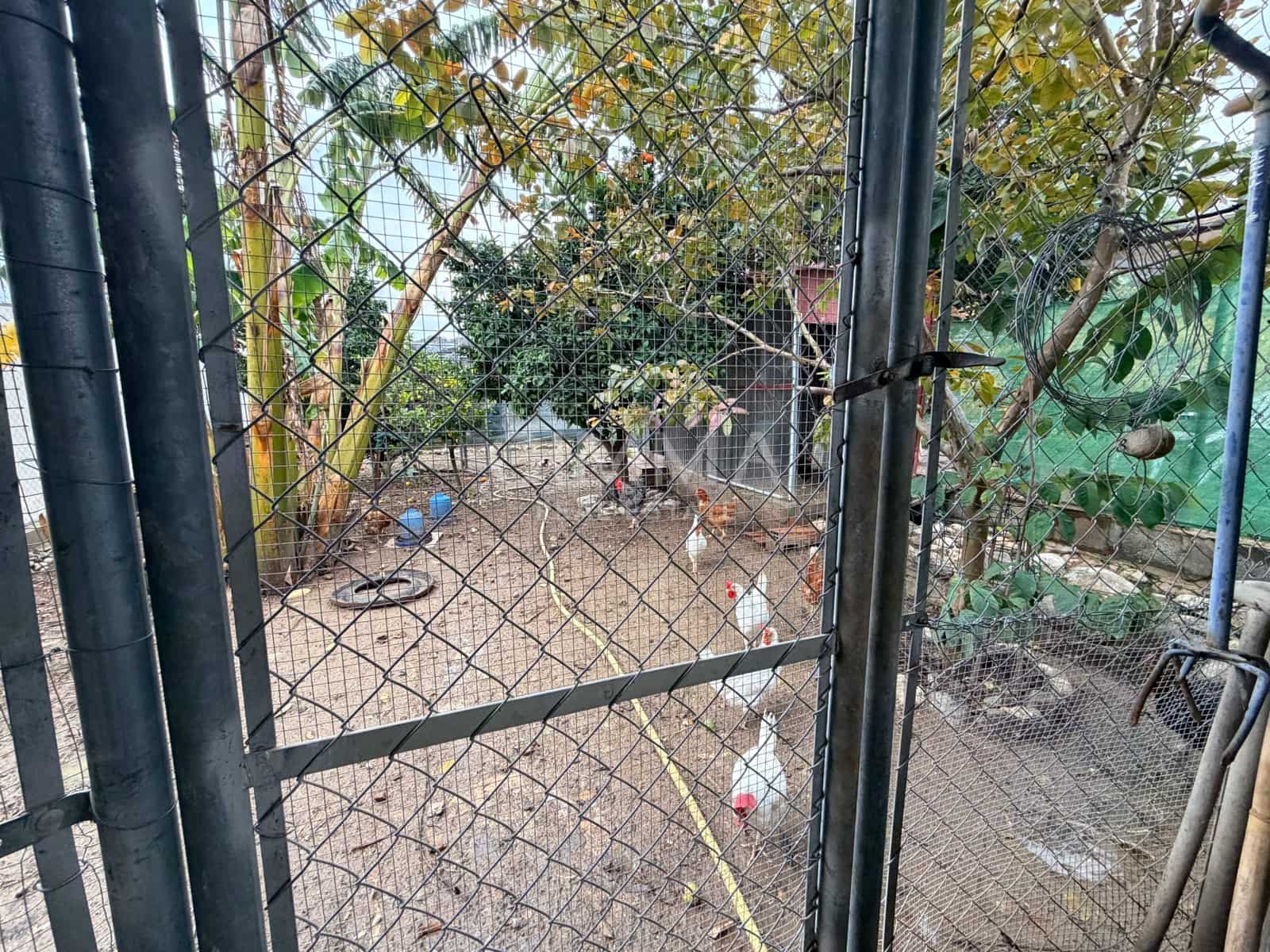 Finca/Casa Rural de 3 habitaciones en Callosa d'En Sarrià en venta con garaje - 199.000 € (Ref: 9524490)