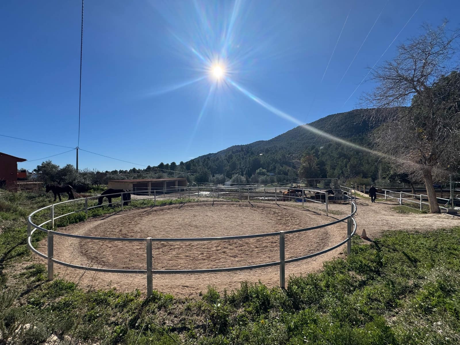 2 Zimmer Finca/Landgut zu verkaufen in Finestrat mit Garage - 1.700.000 € (Ref: 9548414)