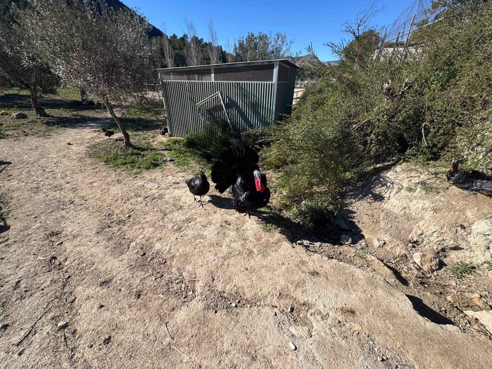 2 Zimmer Finca/Landgut zu verkaufen in Finestrat mit Garage - 1.700.000 € (Ref: 9548414)