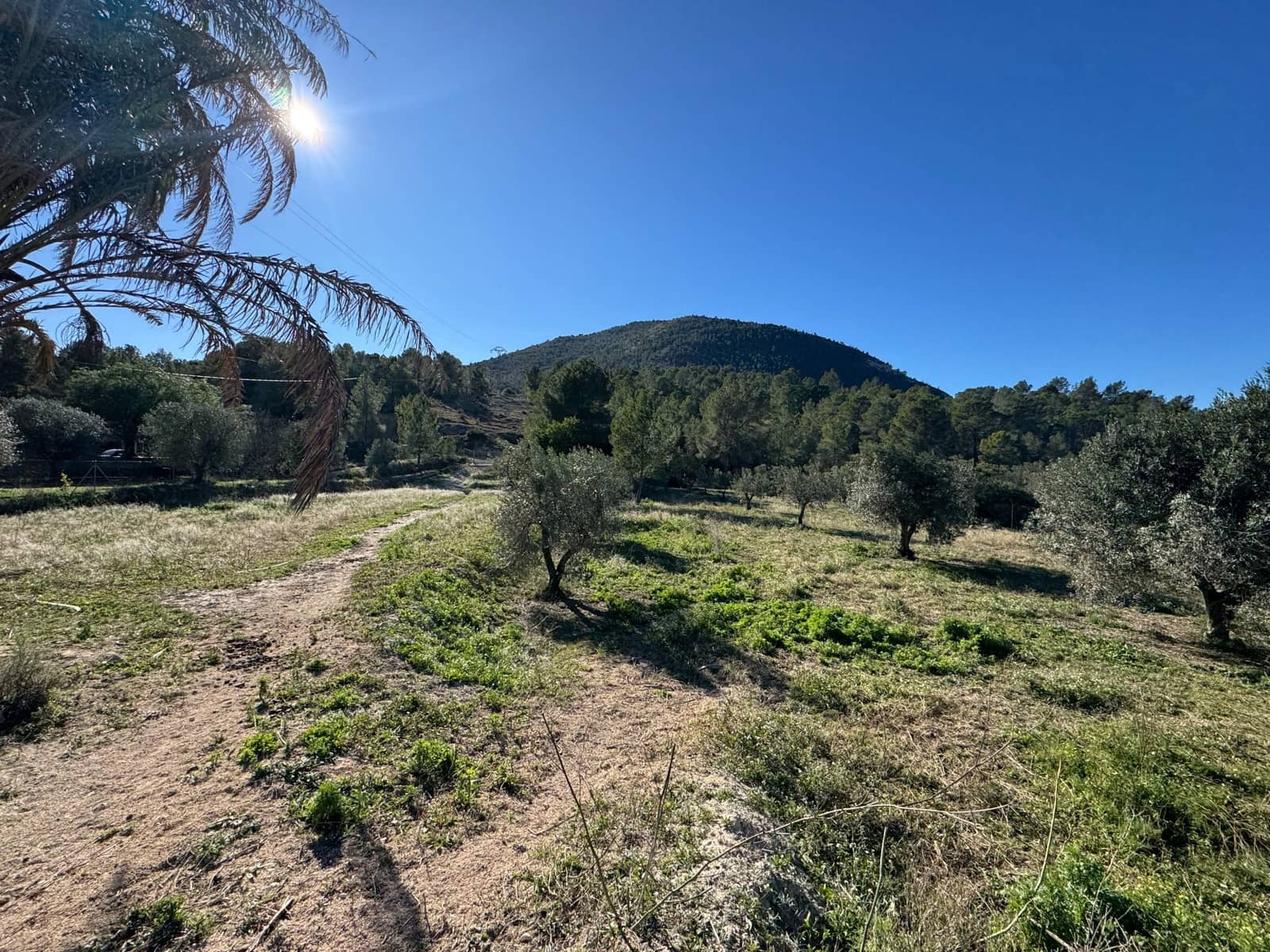 2 Zimmer Finca/Landgut zu verkaufen in Finestrat mit Garage - 1.700.000 € (Ref: 9548414)