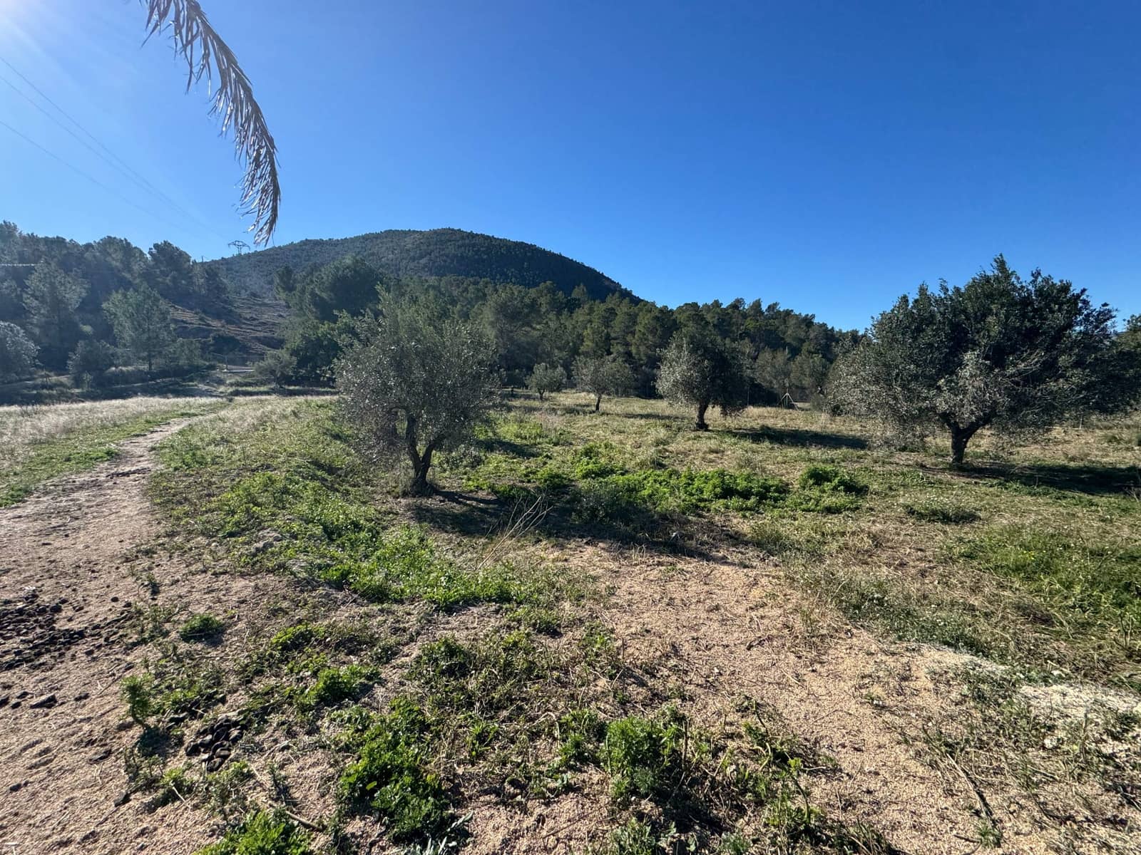 2 Zimmer Finca/Landgut zu verkaufen in Finestrat mit Garage - 1.700.000 € (Ref: 9548414)